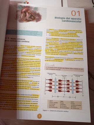 Manuales MIR CTO 12Ed