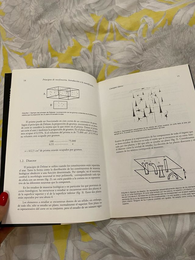 Principios de Morfometría Introducción a la Cua...