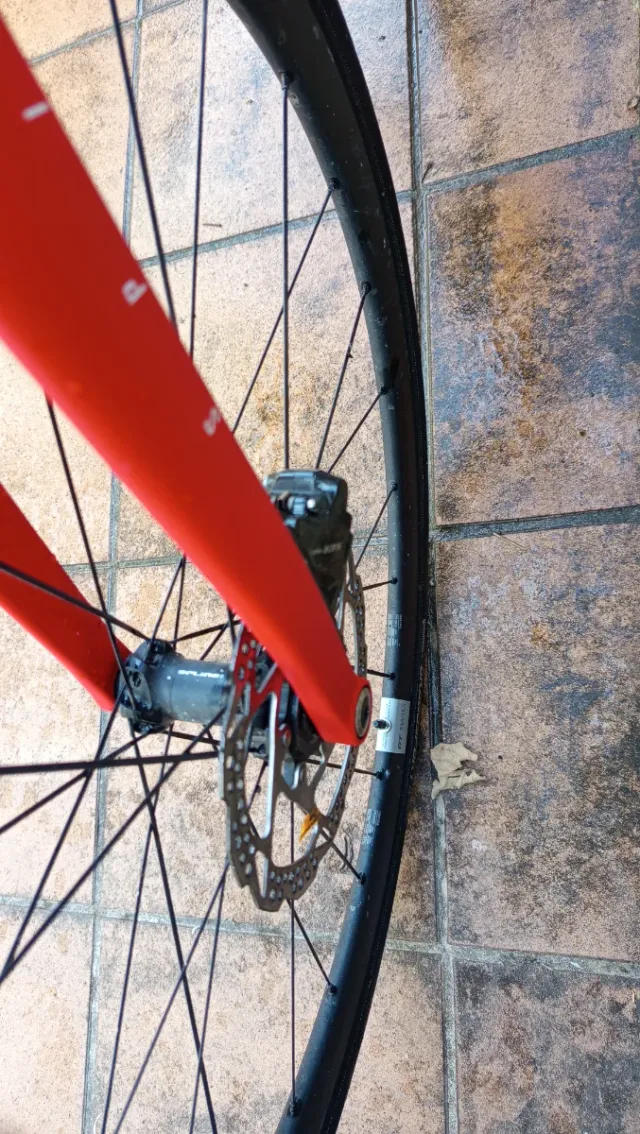 Radon Spire Disc 2021