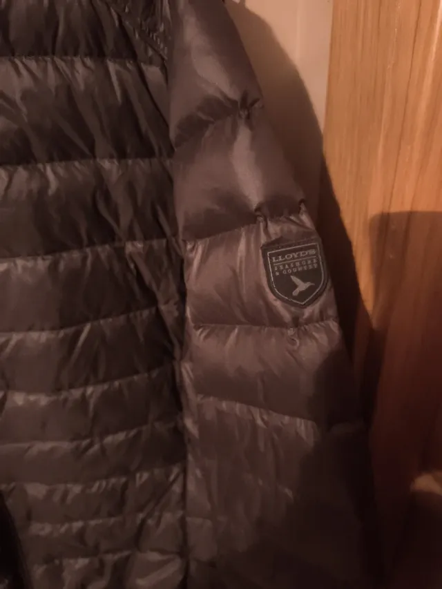 Chaqueta acolchada kaki Lloyd's