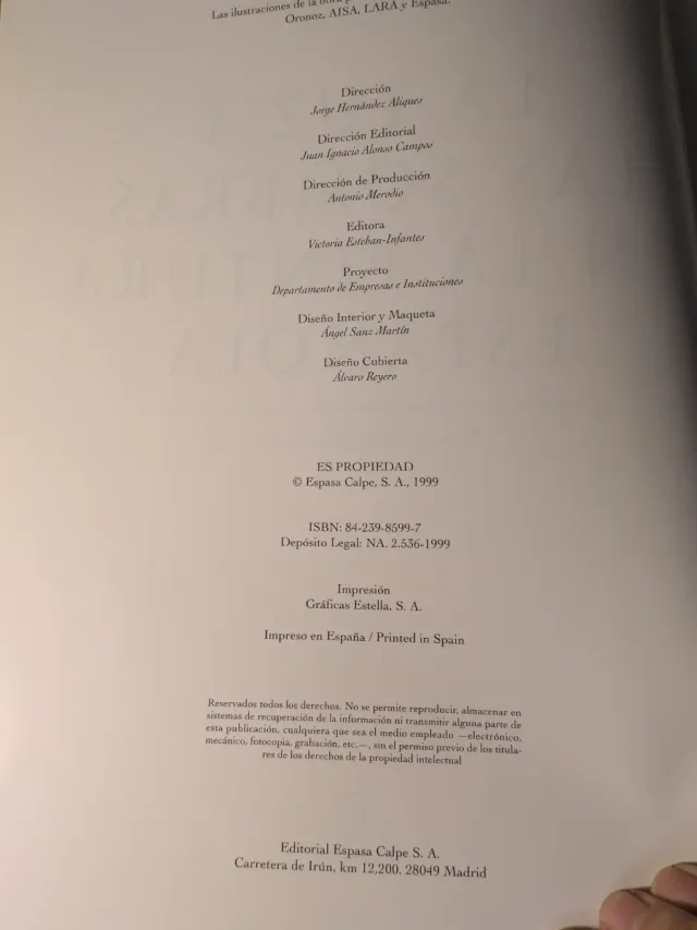 La Luz Y Las Sombras En La Pintura Espanola