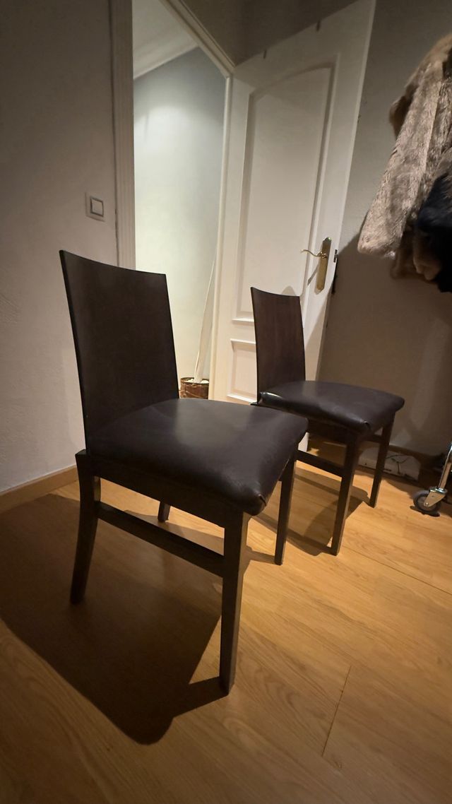 Juego de 2 sillas de salón