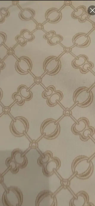 36 Fundas o bolsas de Zapatos