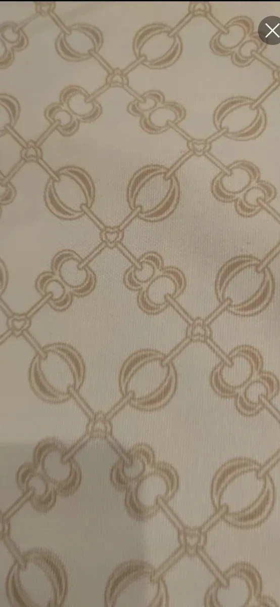 36 Fundas o bolsas de Zapatos