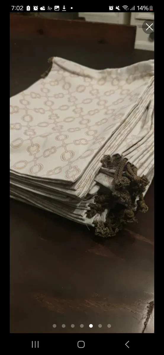 36 Fundas o bolsas de Zapatos