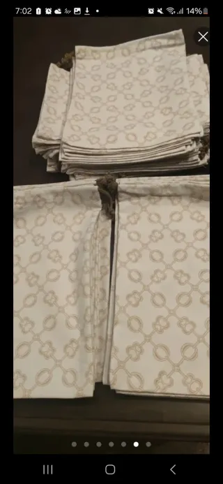 36 Fundas o bolsas de Zapatos