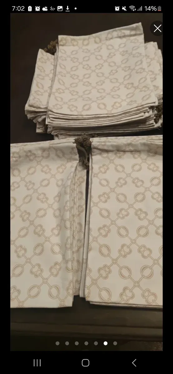 36 Fundas o bolsas de Zapatos