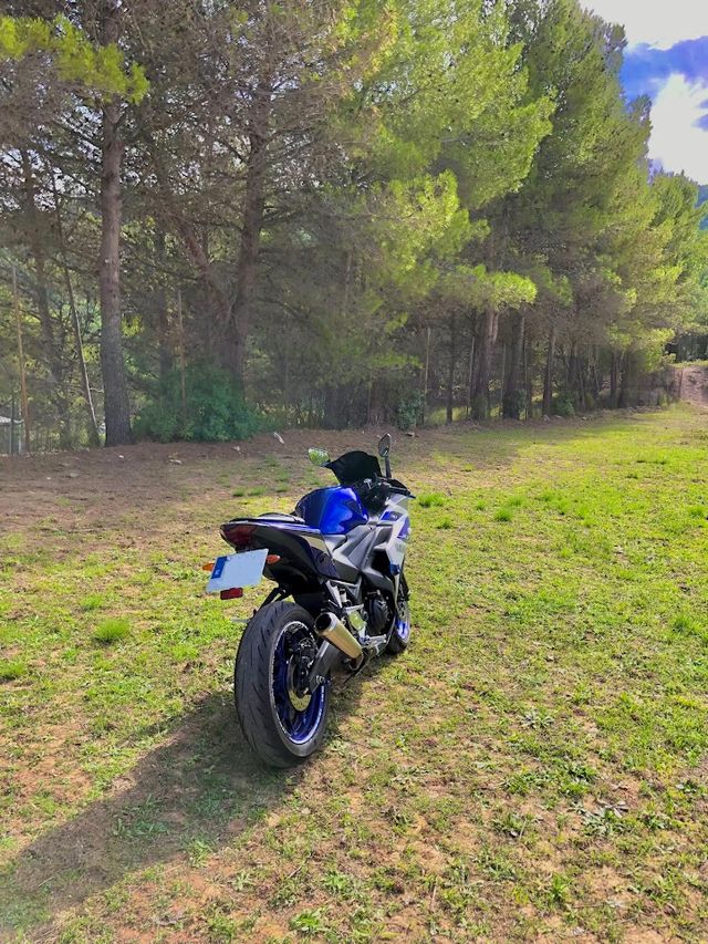 Yamaha R3
