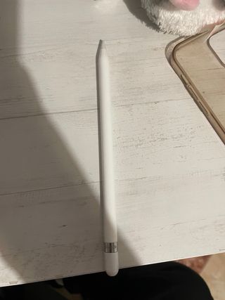 Apple iPad Blanco y Gris