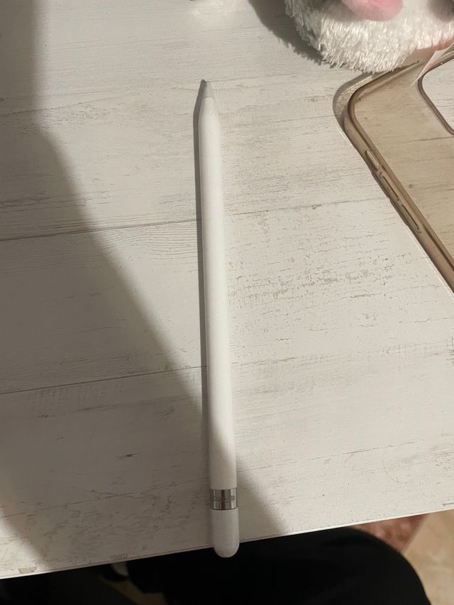 Apple iPad Blanco y Gris