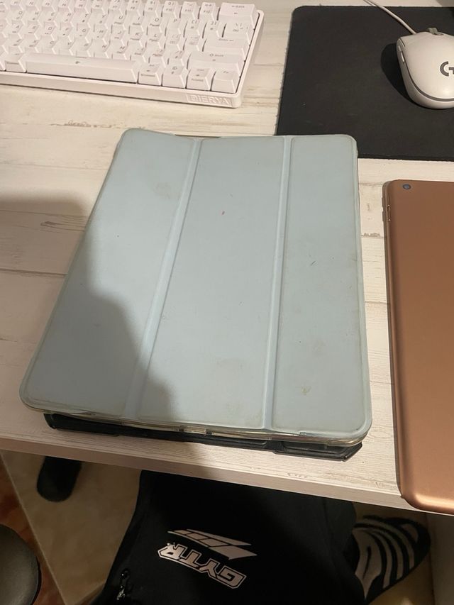 Apple iPad Blanco y Gris