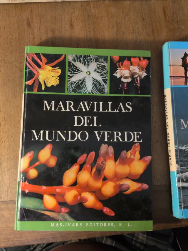 Las maravillas del mundo blanco  Las maravillas de
