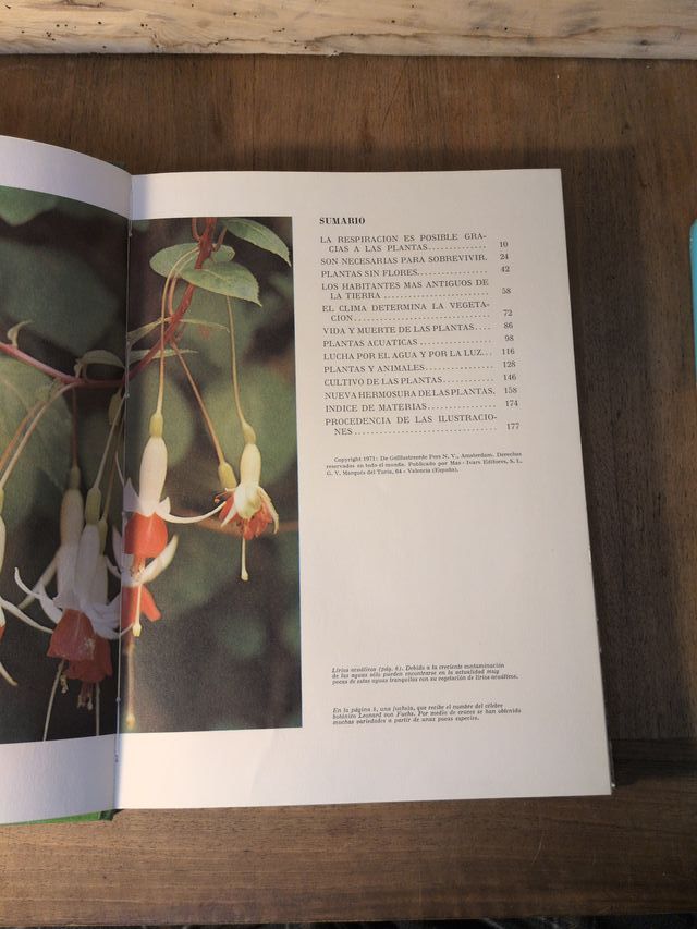 Las maravillas del mundo blanco  Las maravillas de