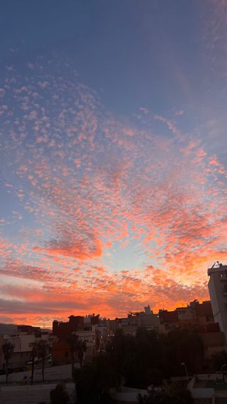 Habitación en alquiler