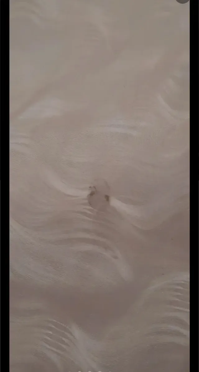 Vestido de Novia Pronovias Talla M