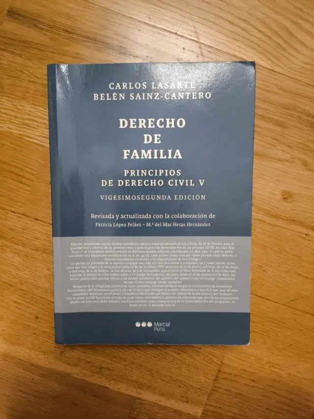 Principios de Derecho Civil. Tomo V: Tomo V. De...