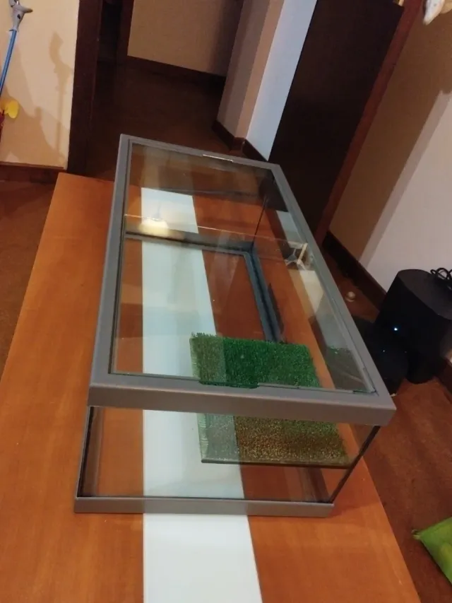 Tortuguera de cristal