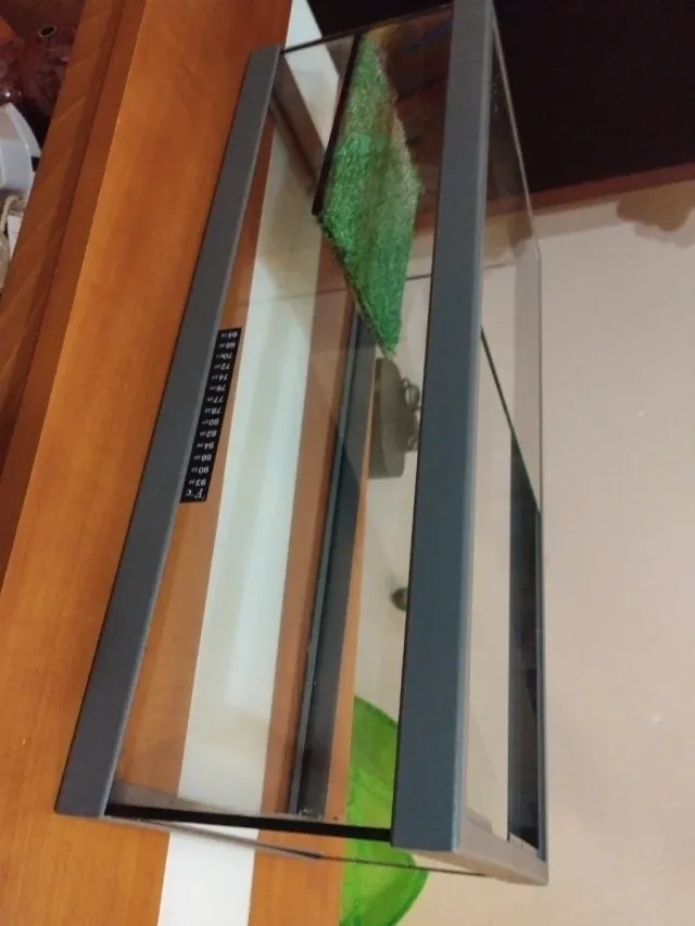 Tortuguera de cristal