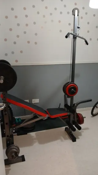Equipo de gimnasio: pesas y banco
