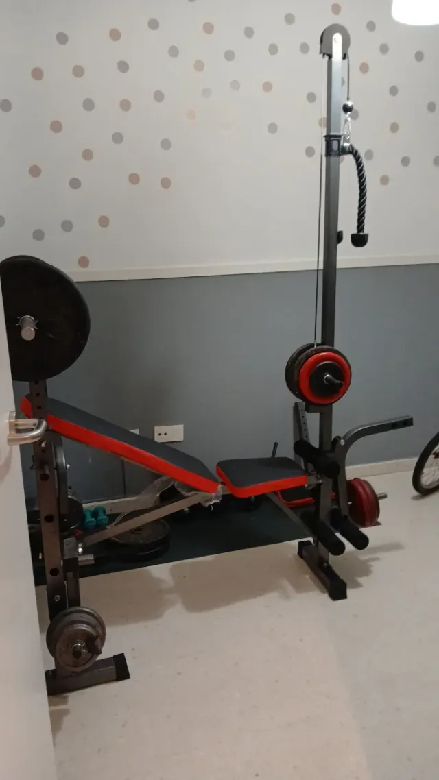 Equipo de gimnasio: pesas y banco