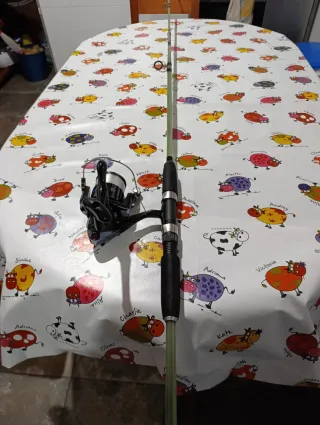 Caña de pescar surf casting 240