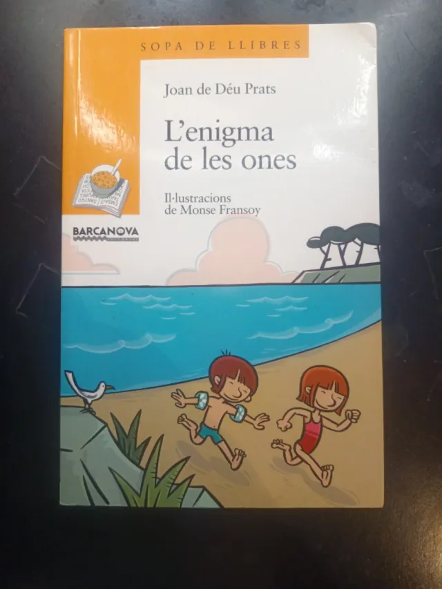 L'enigma de les ones