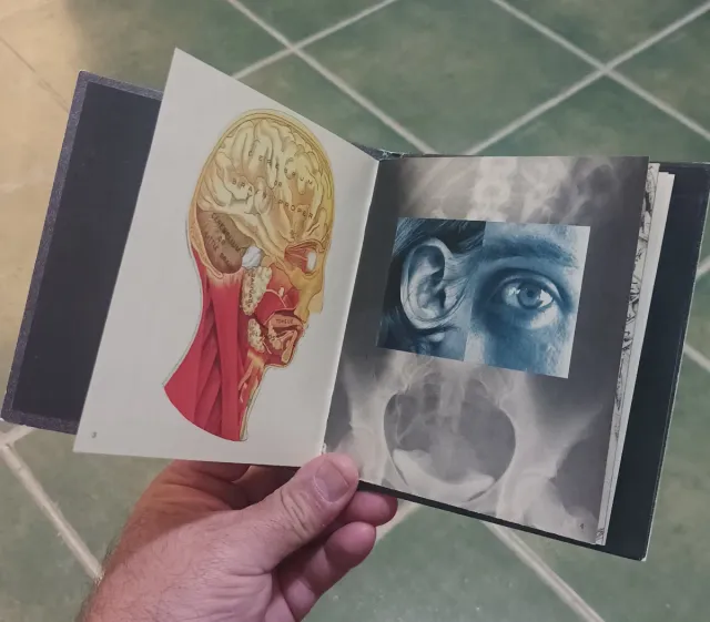 CD Pearl Jam Vitalogy