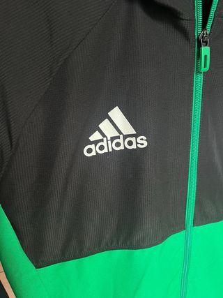 Chaqueta Adidas TSV Rheinhausen Oficial