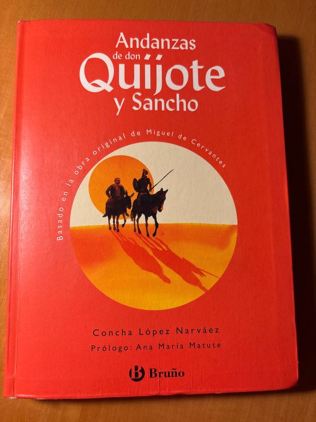Andanzas de Don Quijote y Sancho (Spanish Edition)