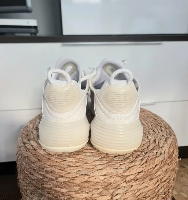 Zapatillas Nike Air Max 2090 Blancas