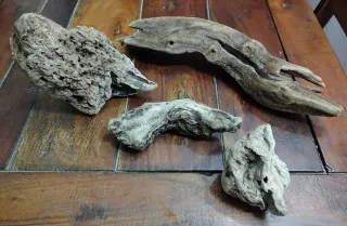 4 Legni da mareggiata per scenografie