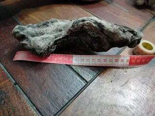 4 Legni da mareggiata per scenografie