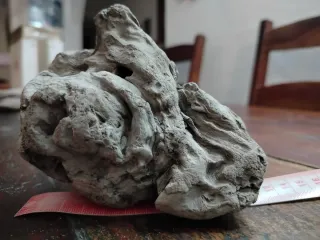 4 Legni da mareggiata per scenografie