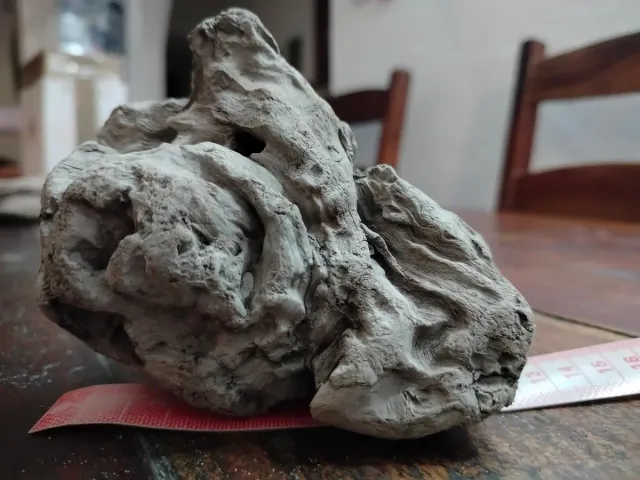 4 Legni da mareggiata per scenografie