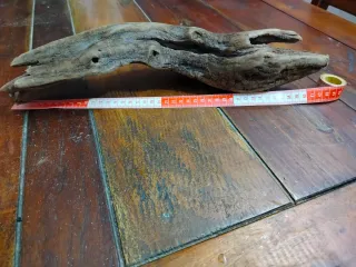 4 Legni da mareggiata per scenografie