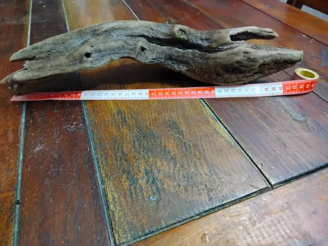 4 Legni da mareggiata per scenografie