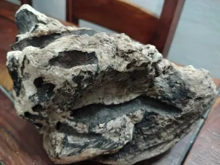 4 Legni da mareggiata per scenografie