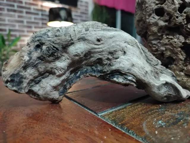 4 Legni da mareggiata per scenografie