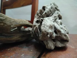 4 Legni da mareggiata per scenografie