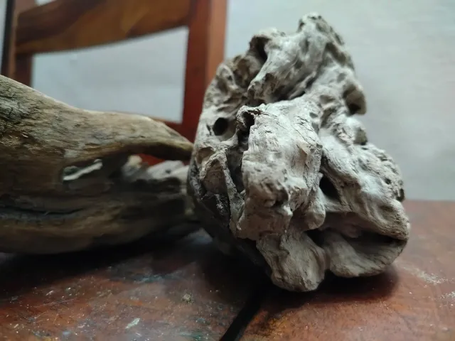 4 Legni da mareggiata per scenografie