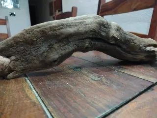 4 Legni da mareggiata per scenografie