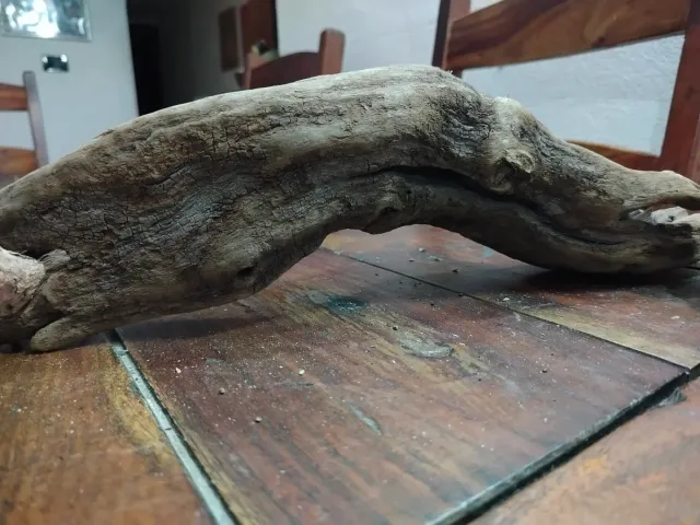 4 Legni da mareggiata per scenografie