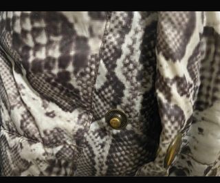 Chaqueta acolchada estampado serpiente