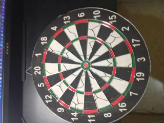 Diana de dardos profesional