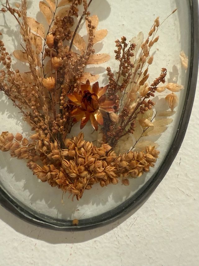 Cuadro vintage mariposa y flores secas