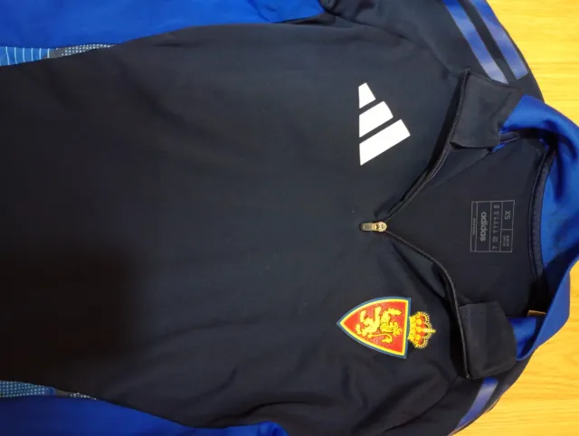 Camiseta Entrenamiento Real Zaragoza Adidas