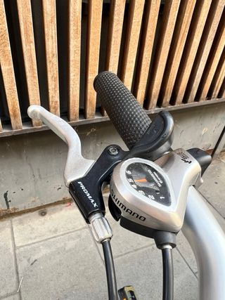 Bicicleta plegable Dahon Plata