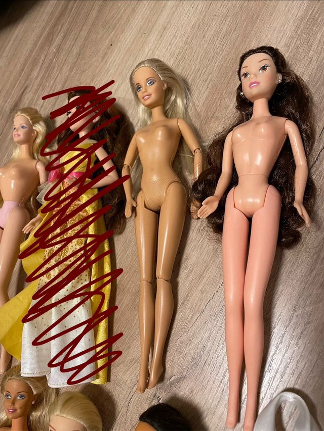 Lote de Muñecas Barbie y Accesorios