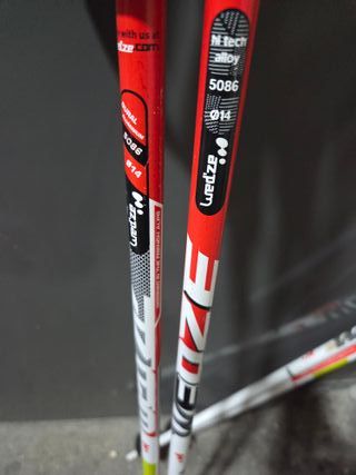 Bastones de esquí Scott