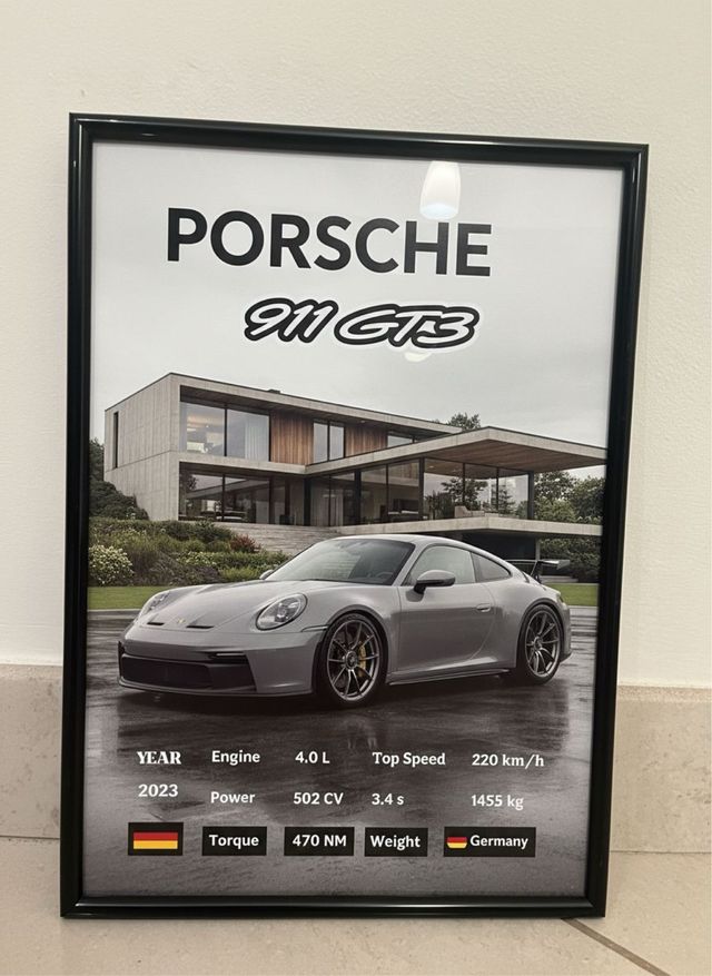 Cuadro Porsche 911 GT3